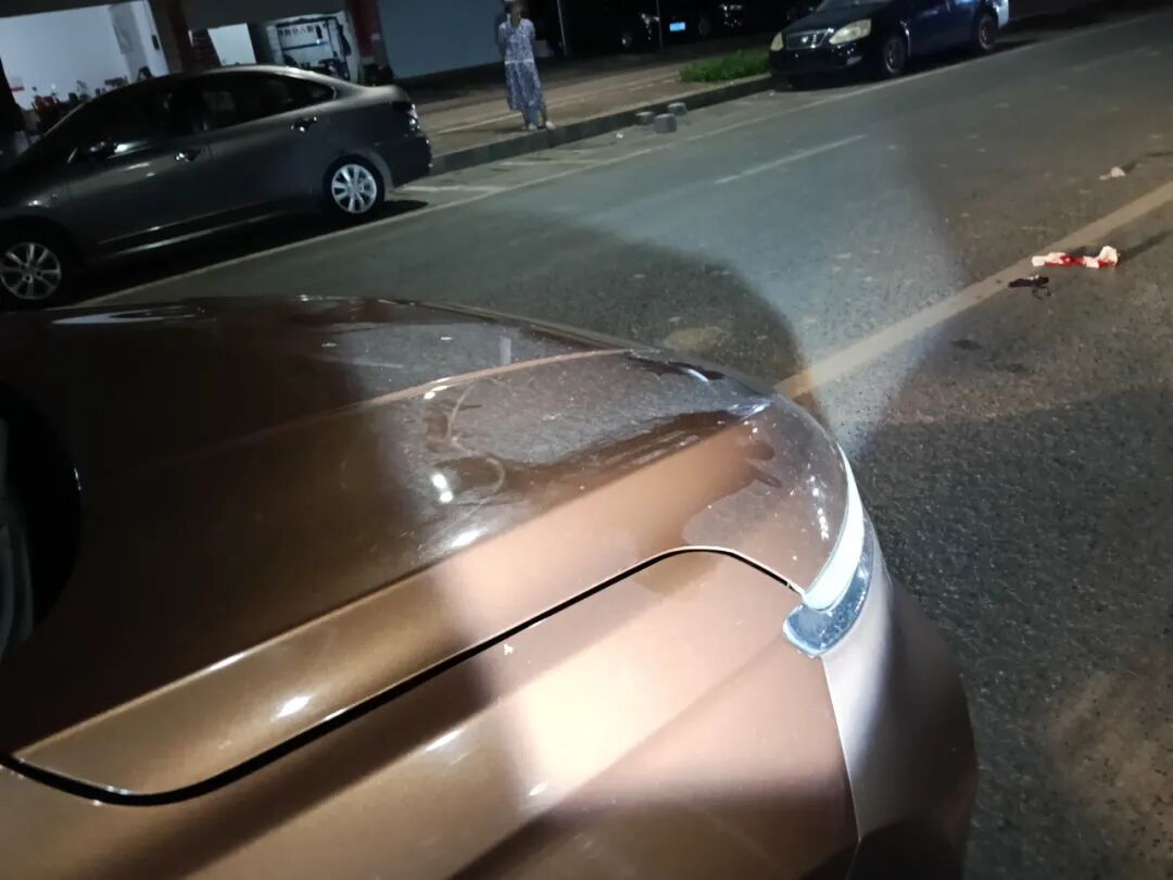 駕駛觀察禮讓行人_行車安全注意事項(xiàng)_路況