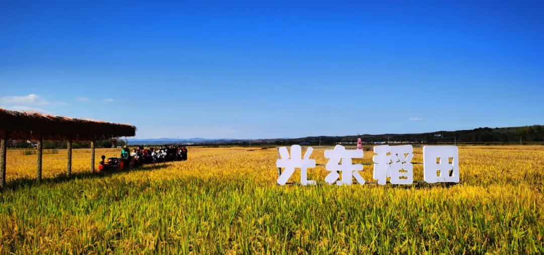 2025年國(guó)慶中秋假期道路交通安全管理_出行提示_延邊州國(guó)慶中秋假期交通出行提示