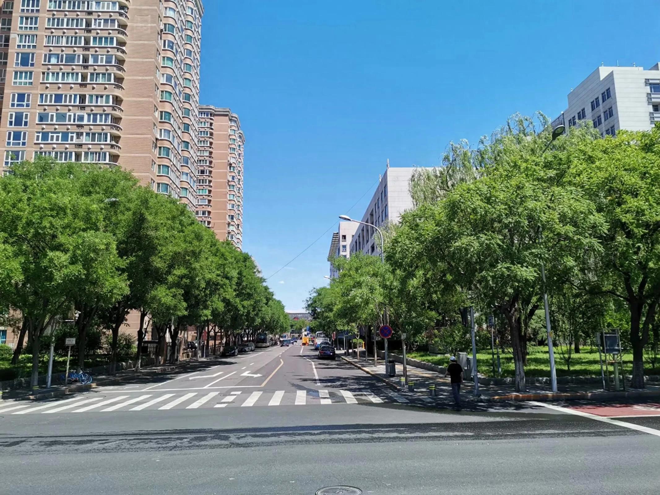 交通出行安全提示_出行提示_文明出行規(guī)范