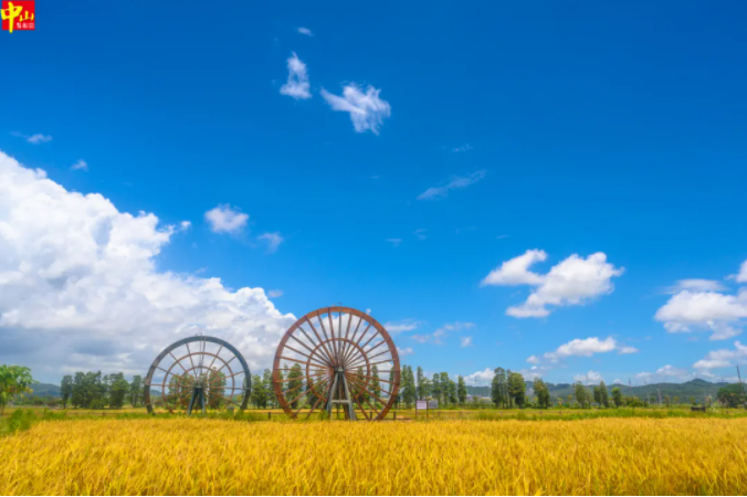 中山臺風(fēng)預(yù)報_中山黑煙車禁行罰款_禁行