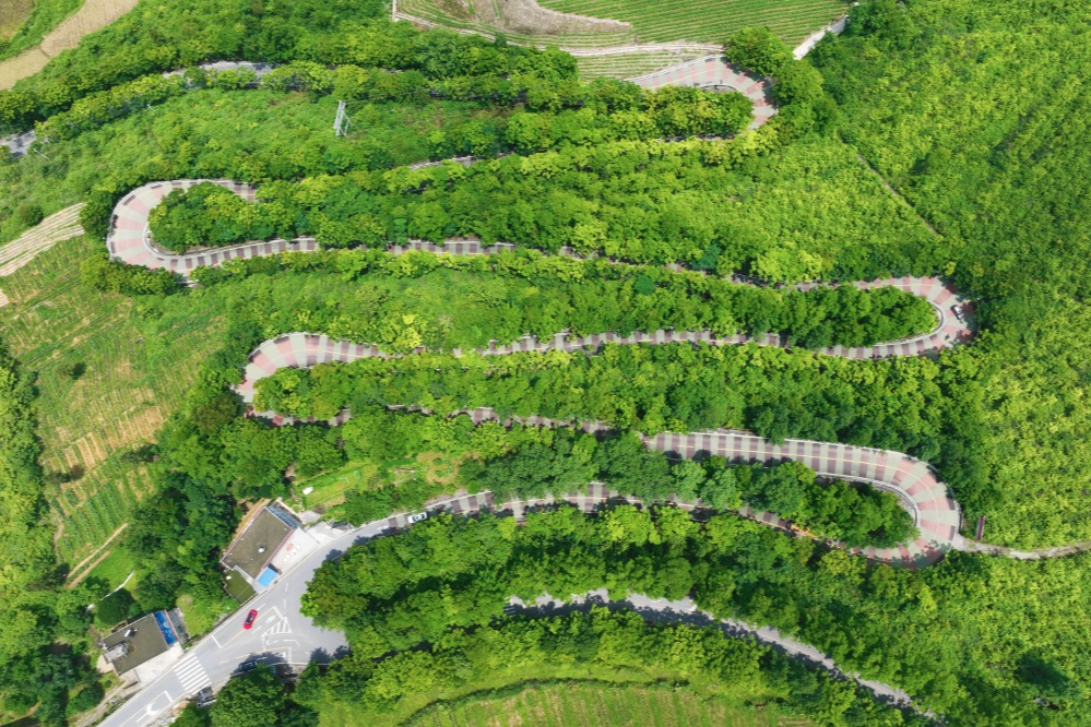 農(nóng)村道路交通安全提示_出行提示_駕駛?cè)顺鲂邪踩?/></p>

<p>駕駛?cè)似?/p>
<p>農(nóng)村道路出行安全提示</p>
<p>出車之前要對車況展開檢查，圍繞車輛走上一圈，對胎壓進(jìn)行檢查，對燈光加以檢查，對剎車予以檢查，以此來保證車況處于良好的狀態(tài)。</p>
<p>第②點，一盔一帶，安全常在，不管是駕駛小轎車，還是乘坐車輛當(dāng)中的前排，或者后排，所駕乘人員都必須系好安全帶，騎乘摩托車、電動車時，請正確佩戴合格的安全頭盔，對于拖拉機(jī)、三輪車，車尾務(wù)必一定要貼好反光貼，用以提示后車避開避免追尾。</p>

<p>要守法，做到文明出行，不進(jìn)行無證的駕駛行為，不酒后駕車，不超員超載，不非法載人，不疲勞駕駛，遵守交通安全法律法規(guī)，從而文明出行 。</p>
<p>④駕車出行之際，心態(tài)需保持那種平和的狀態(tài) ，視線要朝著遠(yuǎn)處去放 。碰到農(nóng)用車 ，碰到三輪車 ，要懷揣耐心去跟隨 ，挑選安全地段之后再超車 。路過村口時 ，經(jīng)過路口時 ，穿過巷口時 ，務(wù)必要提前降低速度 ，并且鳴響喇叭 。</p>

<p>行人篇</p>
<p>農(nóng)村道路出行安全提示</p>
<p>步行之際，當(dāng)盡可能游走于硬化路面之邊緣地帶或者專門設(shè)置之人行通道上面，需避開那些存在坑洼以及破損狀況的路段，并且要沿著邊緣行走；而當(dāng)路過路口、彎道、坡頂?shù)葘儆谝暰€盲區(qū)的區(qū)域之時，務(wù)必要格外留意進(jìn)行觀察。</p>
<p><img src=