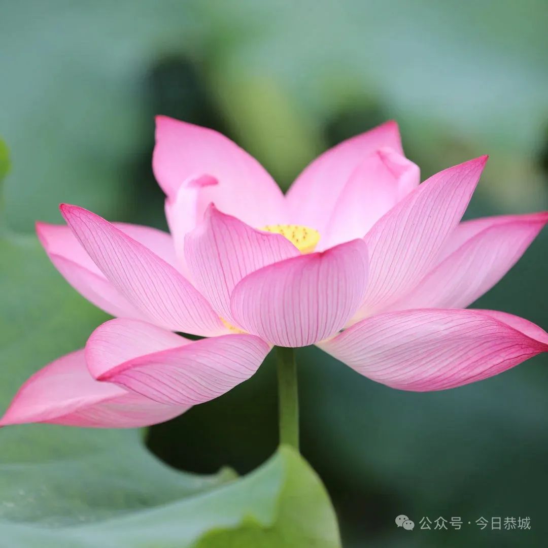 出行提示_桂林廣播與網(wǎng)絡(luò)音頻創(chuàng)新發(fā)展研討會(huì)_桂林中考出行提示