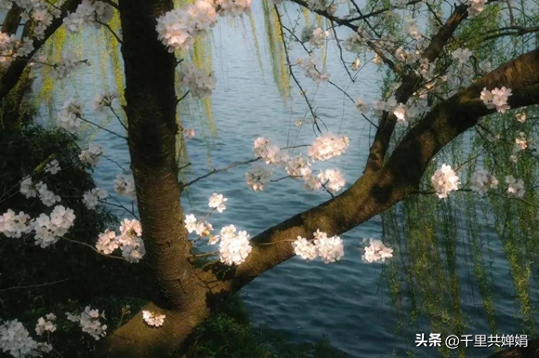 限行_天津限行尾號規(guī)則變動_天津限行新規(guī)字母車牌管理