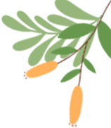 新學(xué)期交通安全提示_校園安全隱患防范_出行提示