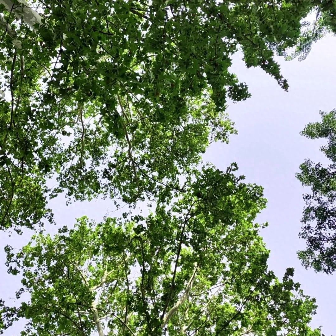 自駕旅行安全注意事項(xiàng)_五一自駕出行安全提示_出行提示