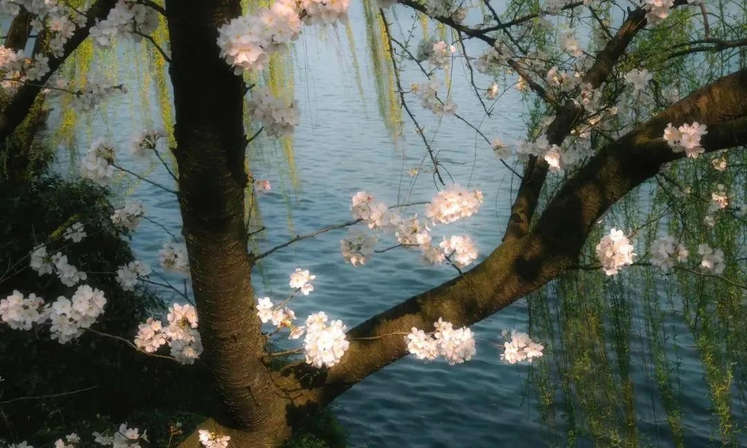 字母車牌尾號限行規(guī)則_天津2025夏季限行政策_(dá)限行