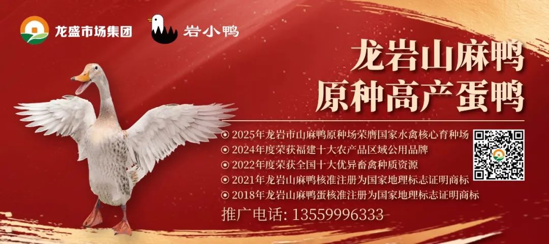 出行提示__ 2025年端午節(jié)交通安全提示 