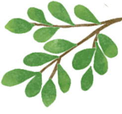 學(xué)生交通安全注意事項(xiàng)_開學(xué)季交通安全出行提示_出行提示