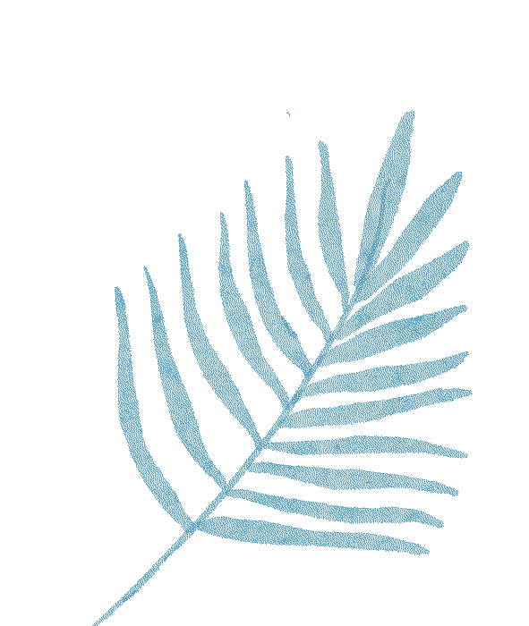 冬季雪霧天氣行車(chē)安全_冰雪路面駕駛技巧_出行提示