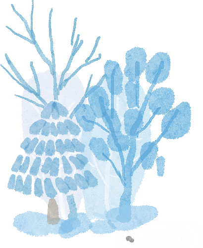 冬季雪霧天氣行車安全_冰雪路面駕駛技巧_出行提示