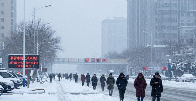 暴雪藍(lán)色預(yù)警 寒潮藍(lán)色預(yù)警 大風(fēng)藍(lán)色預(yù)警_出行提示